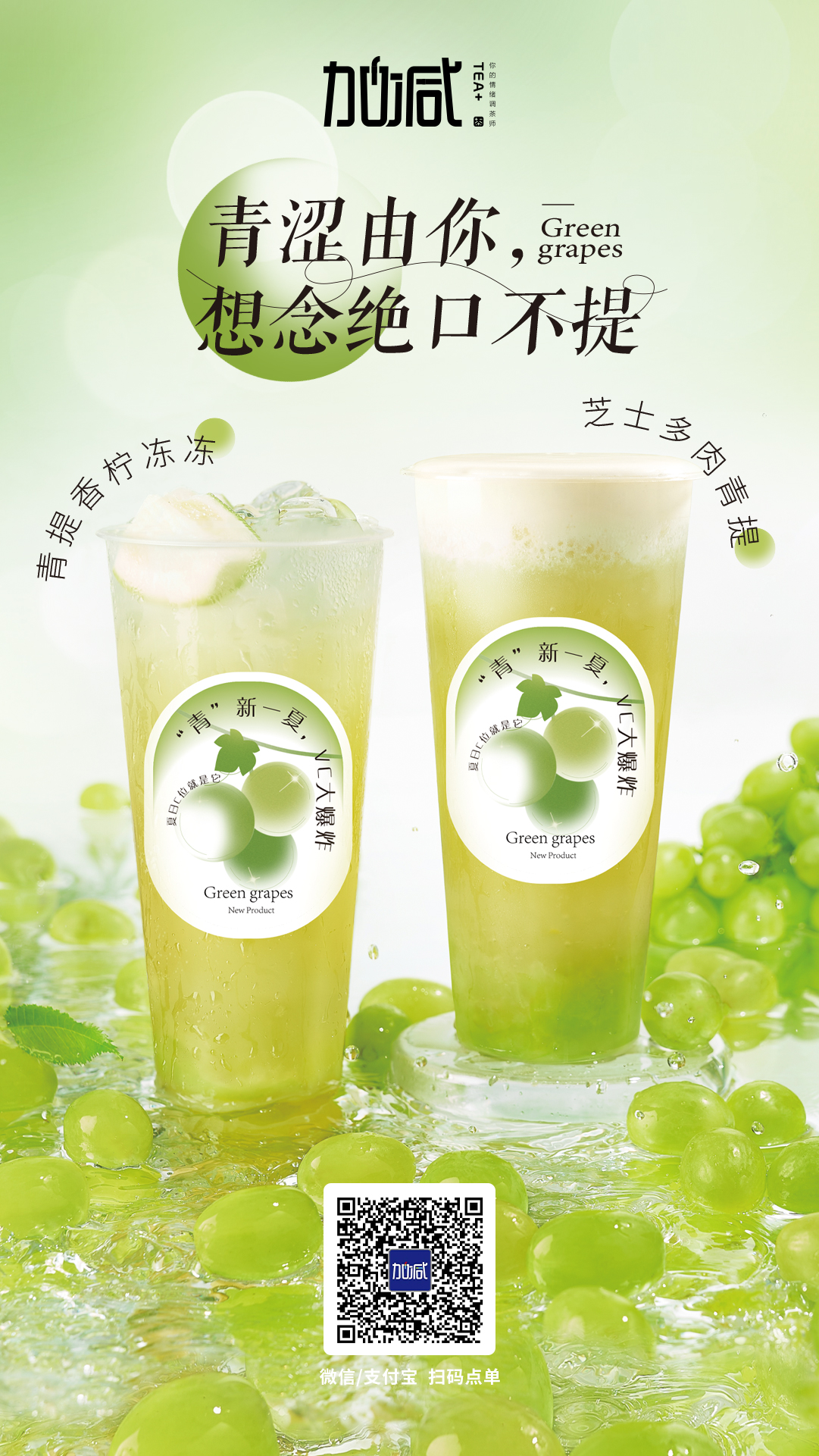 尊龙在线新品上市
